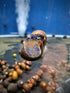 Blueberry Snail (Viviparus sp.) 3 Pack