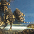 L398 Tanke Tiger Pleco 'Rio Xingu' (Panaqolus tankei)